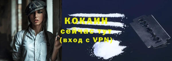 мяу мяу мука Елизово