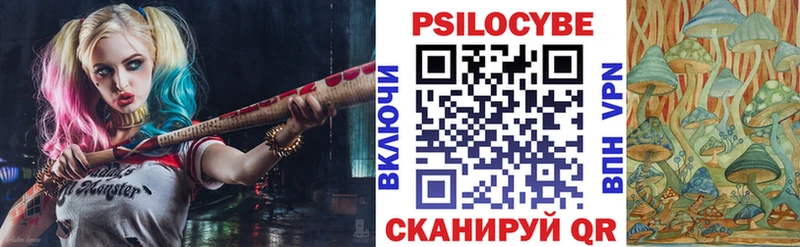 Псилоцибиновые грибы прущие грибы  Купить  Бийск 